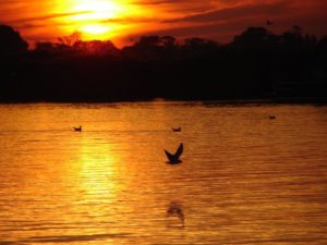 Couchers de soleil sur la Charente